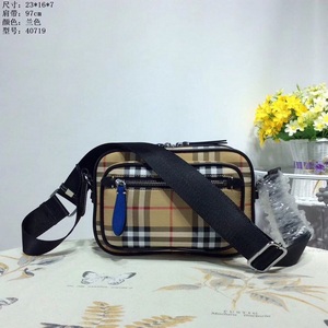 Burberry Handbags 257